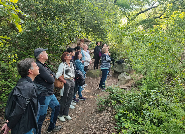 Els banys de bosc es fan al camí de la font de l'Amigó. Autor: Hospital Germans Trias