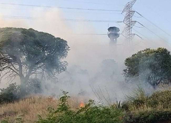 Incendi al Parc de la Serralada de Marina. Autor: Ajuntament de Santa Coloma de Gramenet