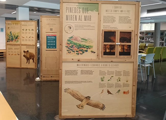 L'exposició, a la biblioteca Elisenda de Montcada. Autor: XPN