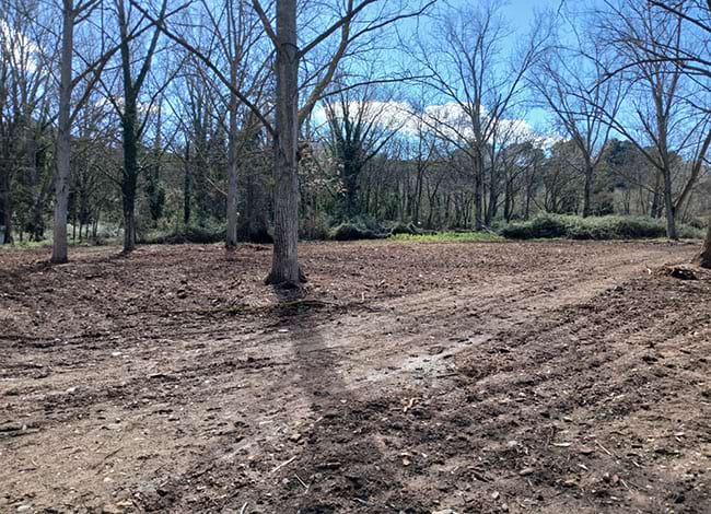 La pollancreda restaurada. Autor: XPN