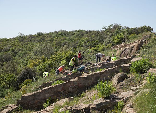 Neteja de la vegetació del jaciment. Autor: Cercle de Voluntaris dels Parcs Naturals