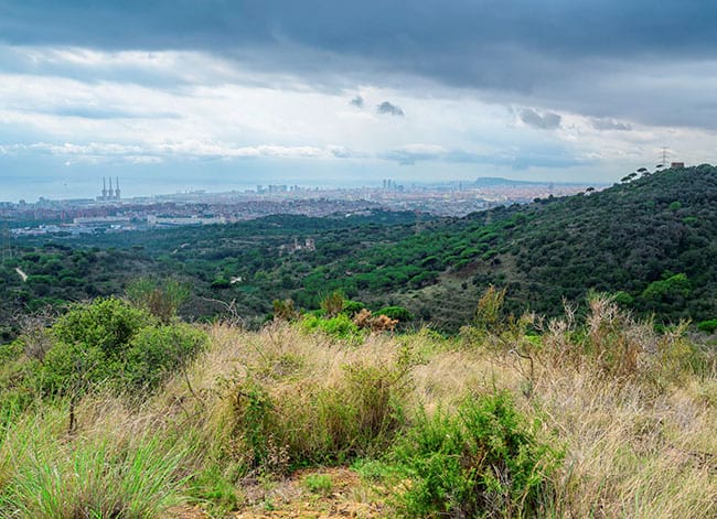 Parc de la Serralada de Marina. Autor: Iñaki Relanzón / Diputació de Barcelona