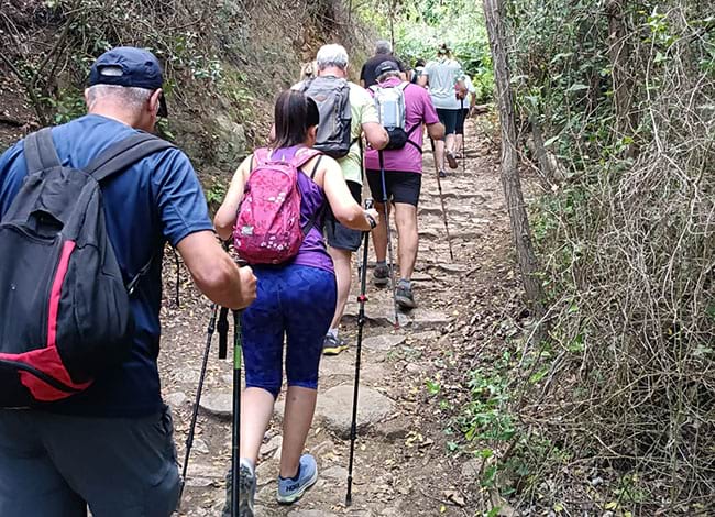 Els professionals de l'hospital, fent la caminada. Autor: XPN