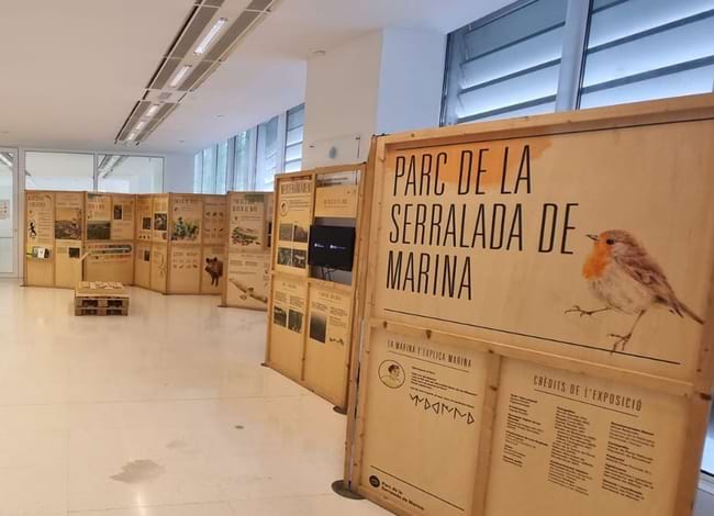 La mostra aplega un total de deu plafons. Autor: XPN