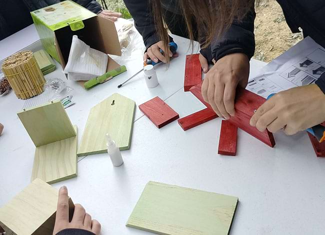 Taller d'hotel d'insectes. Autor: Sèlvans