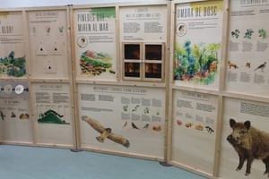 Plafons. Autor: Ajuntament Tiana