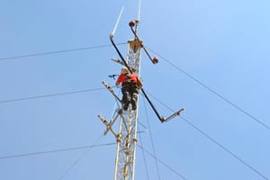 Moment de la instal·lació. Autor: Ecometta