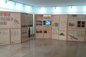 Muntatge de l'exposició. Autor: XPN