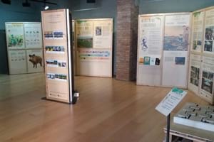 Detall de l'exposició. Autor: XPN