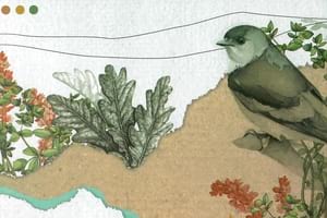 Detall de la portada de la guia. Autor: Biblioteques Maresme