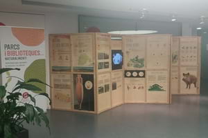 Plafons de la mostra. Autor: XPN