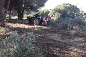 Tasques de millora. Autor: XPN