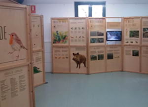 Detall de la mostra. Autor: XPN