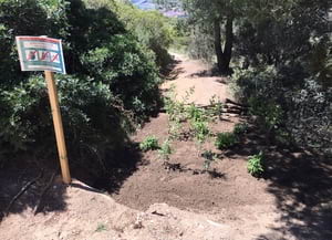 Feixines ermites. Autor: XPN