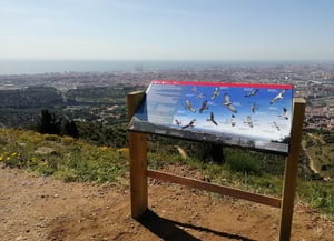 Plafó sobre rapinyaires. Autor: XPN