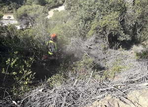 Treballs forestals de trituració. Autor: XPN