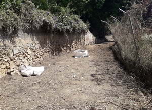 Actuacions a la llera. Autor: XPN