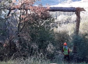 Retirada de combustible perillós. Autor: XPN