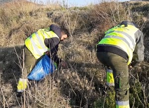 Eliminació de la cua de conill. Autor: XPN