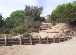 La Coscollada després de les actuacions. Autor: XPN