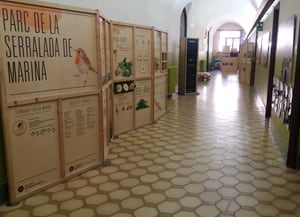 Detall dels plafons a Ecometròpoli. Autor: XPN