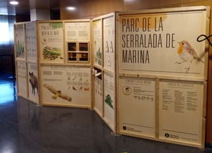 Detall d'un dels plafons al Centre de Documentació.<br />Autor: XPN