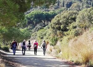 Passejades guiades al Parc de la<br />Serralada de Marina. Autor: XPN