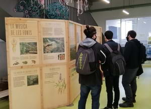 Alumnes davant d'un dels plafons de l'exposició.<br />Autor: XPN