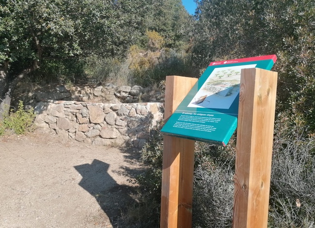 Plafó interpretatiu amb el safareig de vinya al fons.<br />Autor: XPN