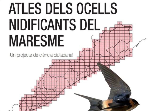 Imatge promocional de l'Atles. Autor: Enric Badosa