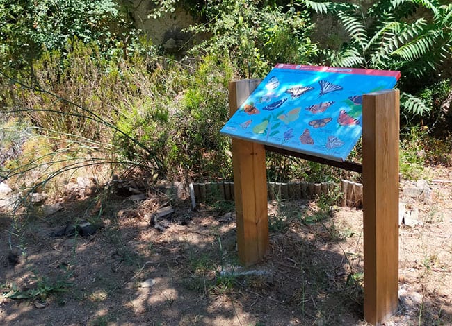 Plafó dedicat a les papallones. Autor: Escola de Natura Angeleta Ferrer