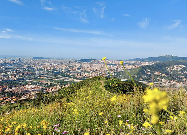 Paisatge urbà des del Parc de la Serralada de Marina. Autor: XPN