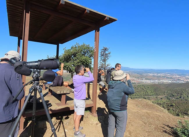 Observadors d'ocells al turó de Puig Castellar. Autor: Fernando Carceller / Aloc Natura
