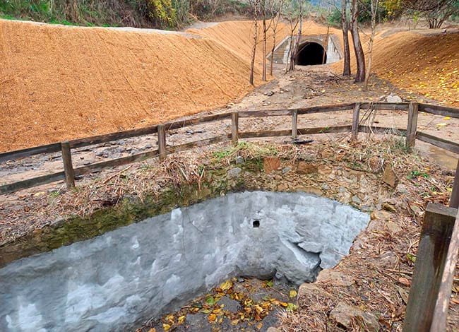 La bassa arranjada. Autor: XPN