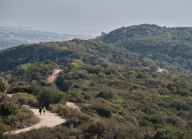 Parc de la Serralada de Marina. Autor: Oriol Clavera