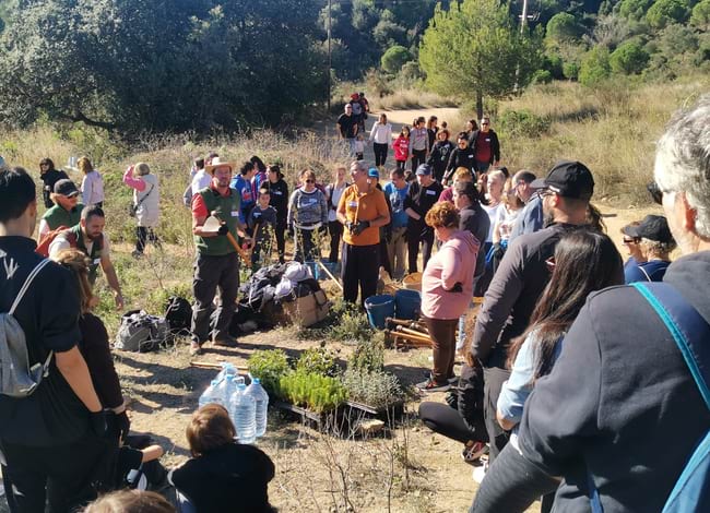 Voluntaris i voluntàries a l'entorn de Sant Jeroni de la Murtra. Autor: Associació Sèlvans
