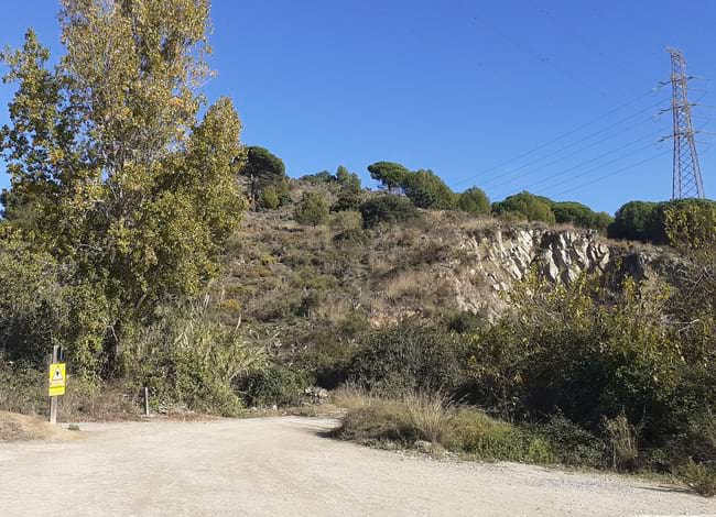La zona de Sant Jeroni de la Murtra, un cop eliminats alguns arbres morts. Autor: XPN