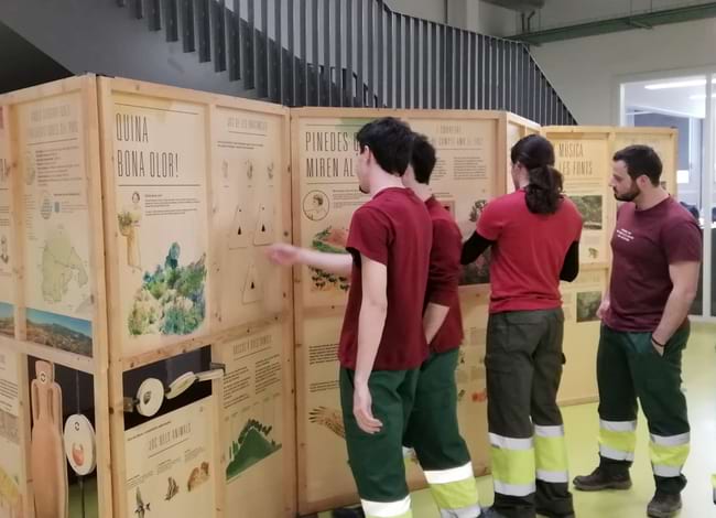 Estudiants visitant l'exposició sobre el Parc de la Serralada de Marina. Autor: XPN