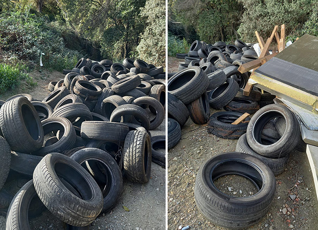 Detall de l'abocament de pneumàtics i altres escombraries al Parc. Autoria: Consorci del Parc Natural de la Serra de Collserola