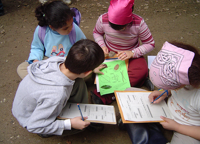 Activitat d'educació ambiental amb alumnat d'educació infantil. © Consorci del Parc Natural de la Serra de Collserola