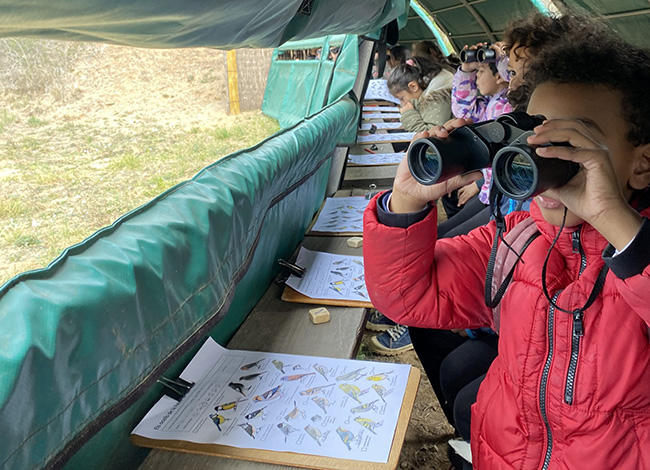 Activitat d'observació d'aus. Autoria: Consorci del Parc Natural de la Serra de Collserola