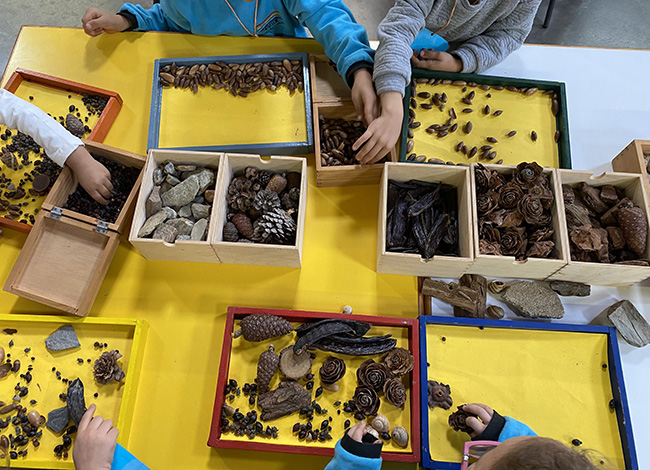 Activitat de tipus sensorial dirigida als alumnes més petits. Autoria: Consorci del Parc Natural de la Serra de Collserola