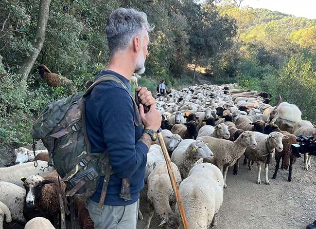 El pastor David Barrero durant la transterminància. Autoria: Parc Natural de la Serra de Collserola