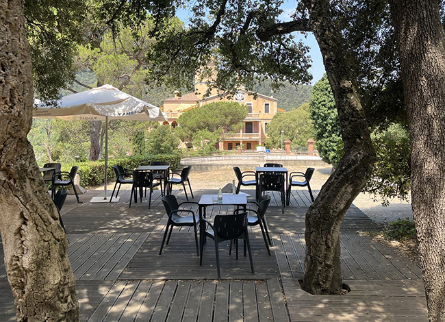 Vista de la terrassa del bar-restaurant del Centre d'Informació del Parc. Autoria: Consorci del Parc Natural de la Serra de Collserola