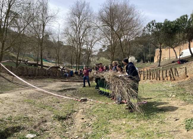 La presència de branques genera nous hàbitats que afavoreixen la biodiversitat. Autor: CPNSC