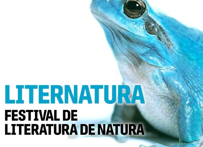 Detall del cartell del Festival. Autor: Liternatura