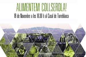 Imatge del taller. Autor: CPNSC