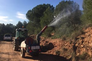 Moment del tractament. Autor: CPNSC