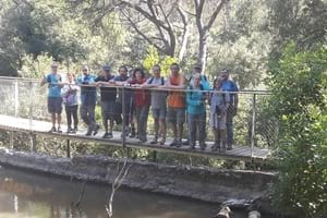 Itinerari guiat. Autor: Collserola Verda