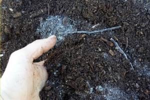 Jornada sobre el sòl. Autor: CPNSC